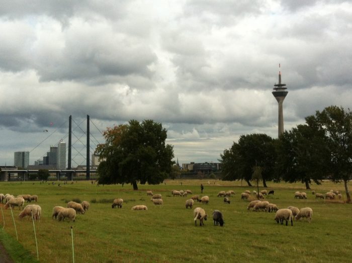 Rhein-Mosel-Tour-040