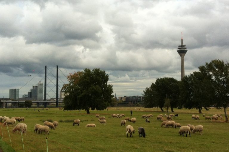 Rhein-Mosel-Tour-040
